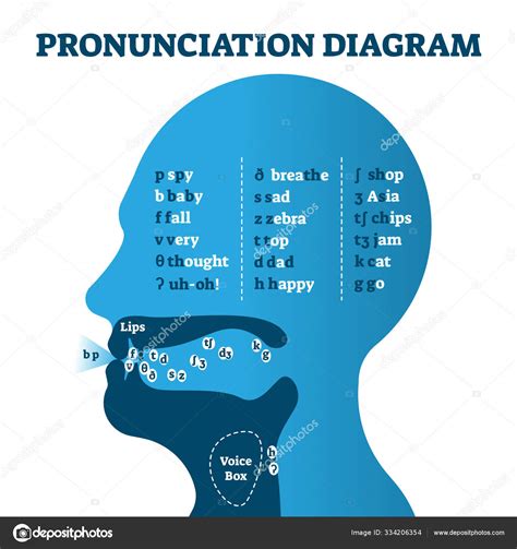 how to pronounce bear|audio pronunciation of words.